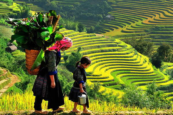 14D_VIETNAM DISCOVERY