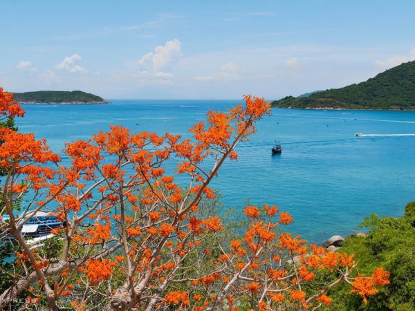 TOUR CÙ LAO CHÀM 1 NGÀY