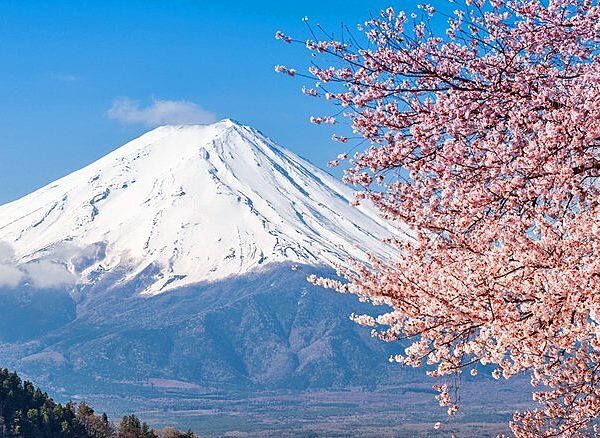 NHẬT BẢN - TOKYO – NÚI PHÚ SĨ - IBARAKI